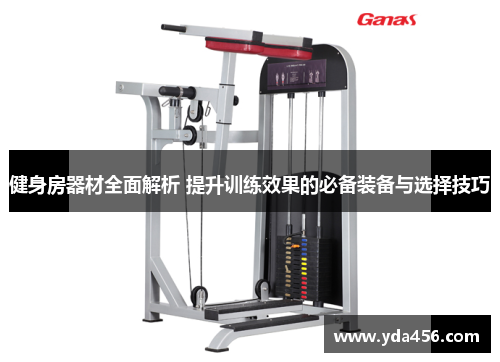 健身房器材全面解析 提升训练效果的必备装备与选择技巧