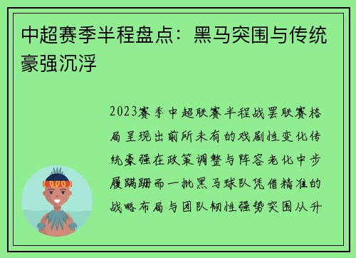 中超赛季半程盘点：黑马突围与传统豪强沉浮